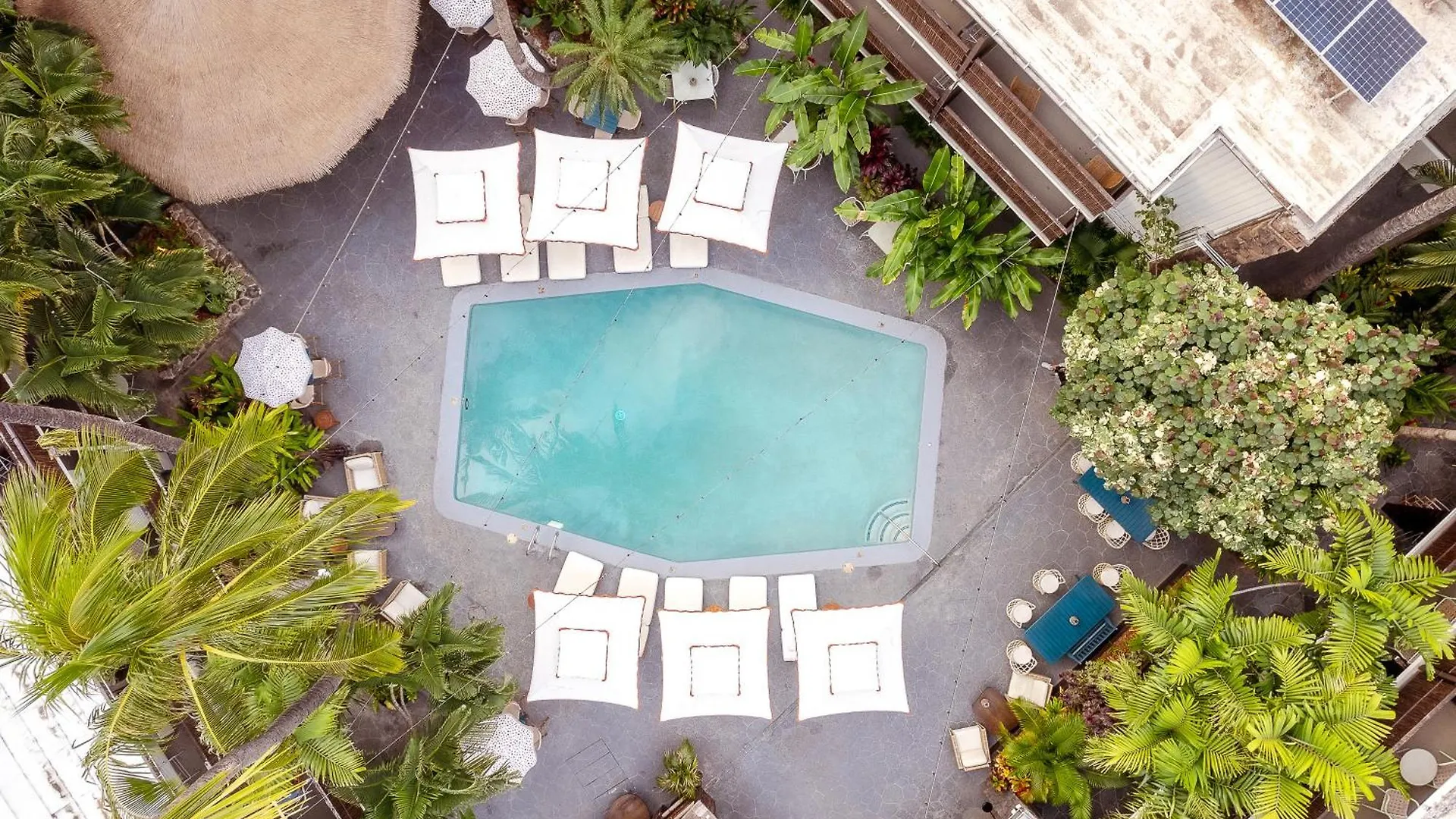 White Sands Hotel Гонолулу 3*,  США